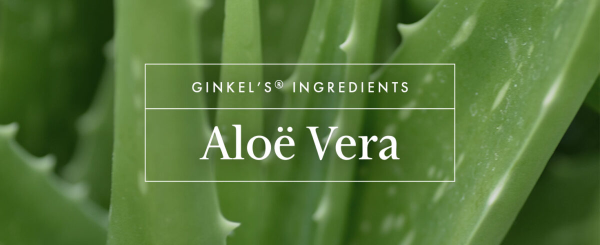 Aloe vera banner 1200x490 - Ginkel's® ingredients: Aloe Vera - ingredienten